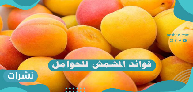 فوائد المشمش للحوامل