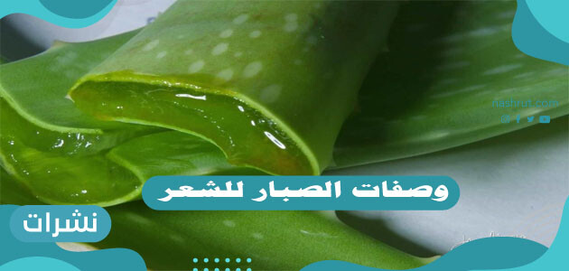 وصفات الصبار للشعر