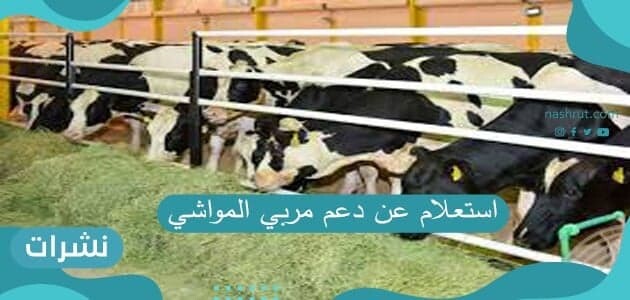 استعلام عن دعم مربي المواشي