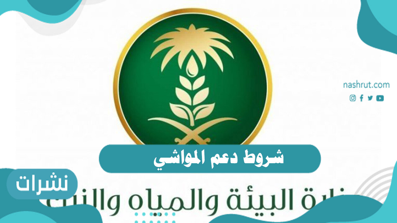 شروط دعم المواشي