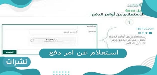 استعلام عن امر دفع