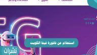 استعلام عن فاتورة فيفا الكويت