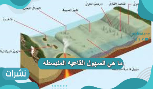 ما هي السهول القاعيه المنبسطه