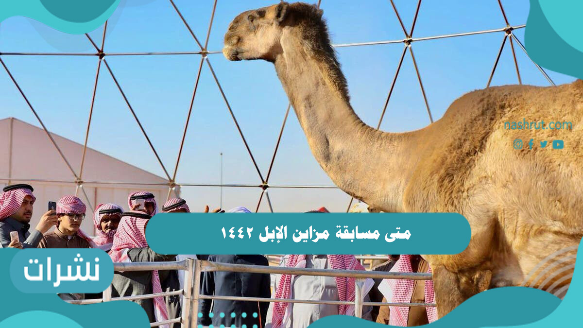 متى مسابقة مزاين الإبل 1442