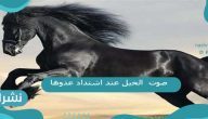 يسمى صوت الخيل عند اشتداد عدوها