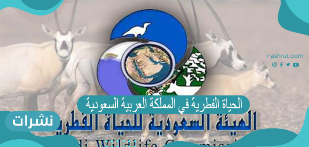 الحياة الفطرية في المملكة العربية السعودية 1442
