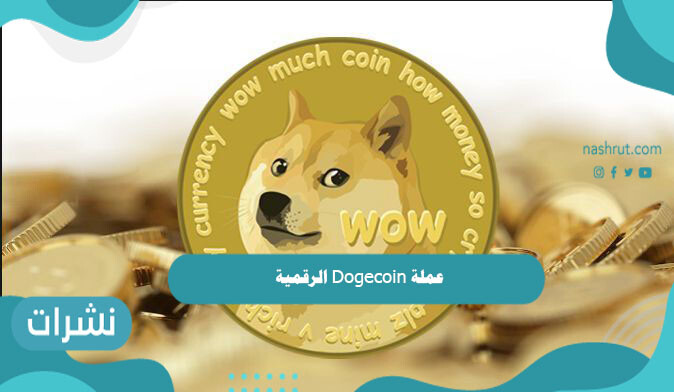 اسباب التعامل مع عملة Dogecoin الرقمية بدلاً من البيتكوين