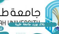 بلاك بورد جامعة طيبة .. رابط دخول بلاك بورد جامعة طيبة