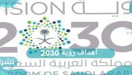 ما هي أهداف رؤية 2030 في التعليم الأساسي والفني والجامعي