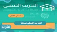 التدريب الصيفي عن بعد