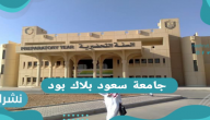 جامعة سعود بلاك بورد Blackboard