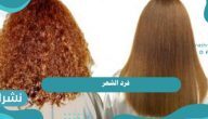 فرد الشعر طبيعياً.. 4 وصفات سهلة للحصول على شعر ناعم ومفرود وصحي