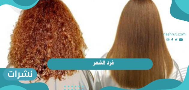 فرد الشعر طبيعياً.. 4 وصفات سهلة للحصول على شعر ناعم ومفرود وصحي