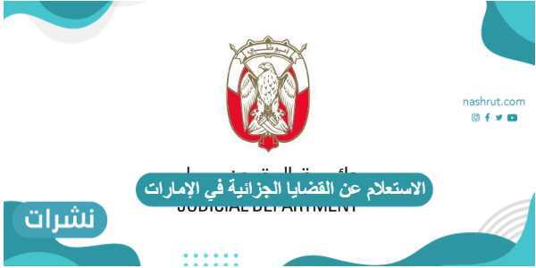 الاستعلام عن القضايا الجزائية في الإمارات ومحاكم دبي بالرقم الموحد