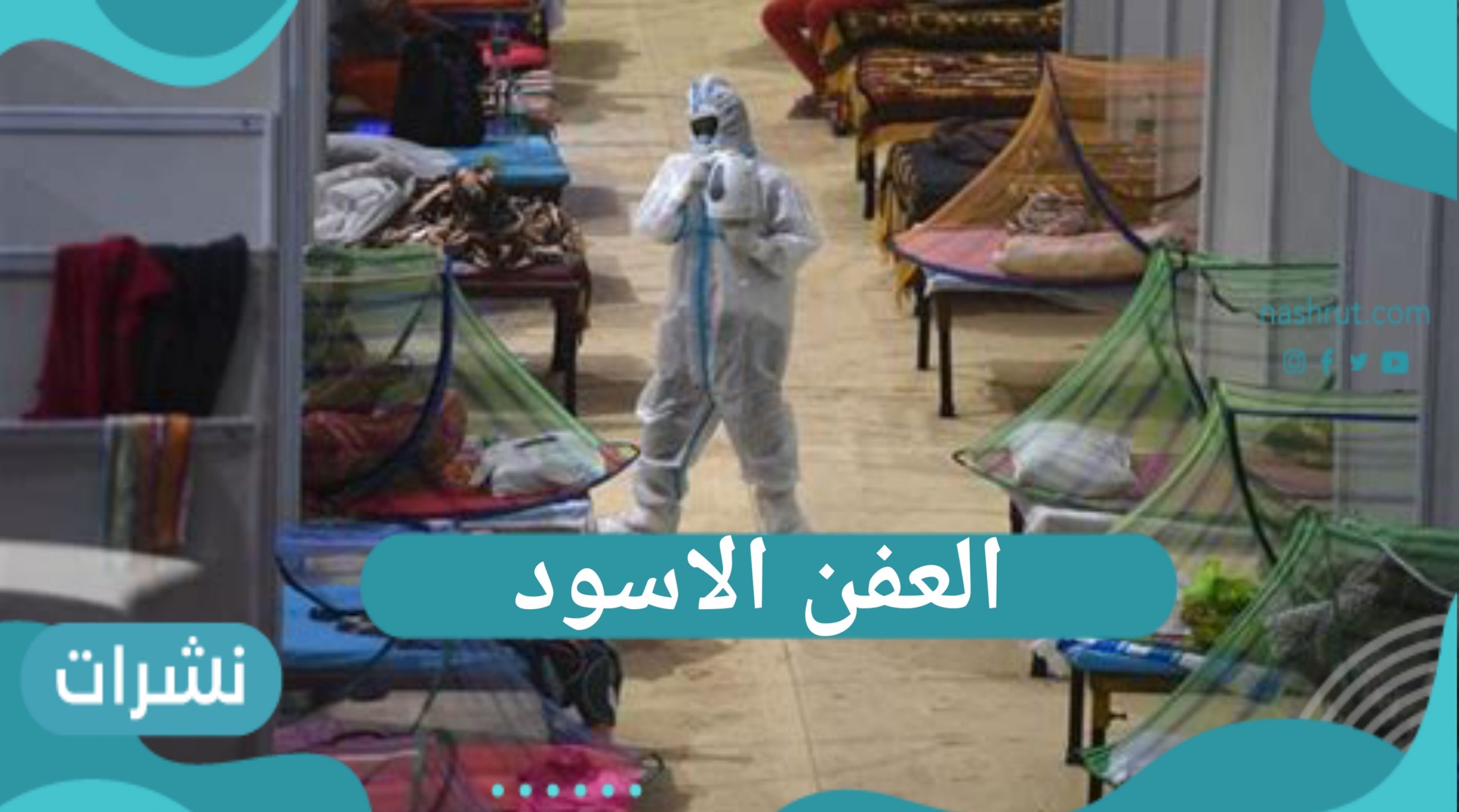 العفن الأسود.. وباء يهدد الحياة وما هي أهم أعراضه
