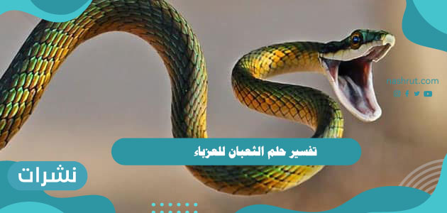 تفسير حلم الثعبان للعزباء