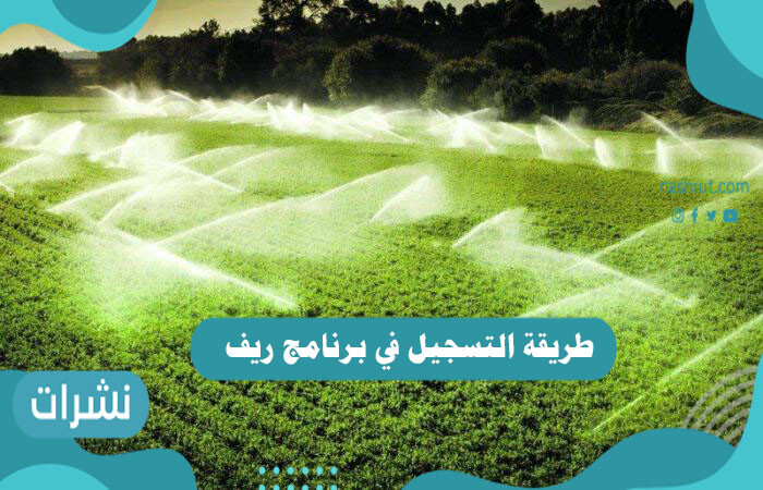 طريقة التسجيل في برنامج ريف