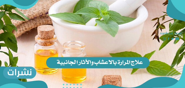 علاج المرارة بالاعشاب