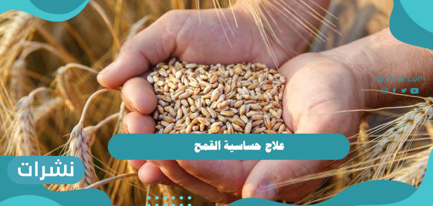علاج حساسية القمح