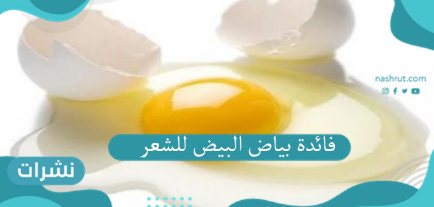 فائدة بياض البيض للشعر