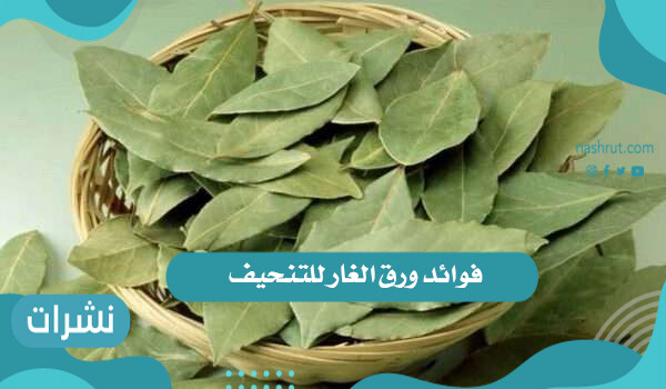 فوائد ورق الغار للتنحيف