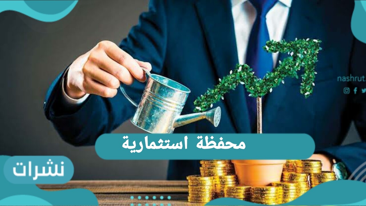 كيفية الحصول على محفظة استثمارية مربحة