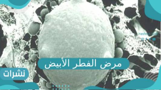 مرض الفطر الأبيض