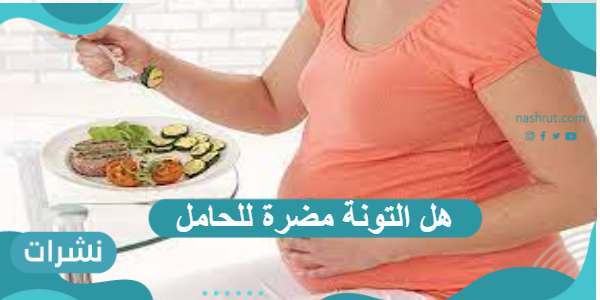 هل التونة مضرة للحامل