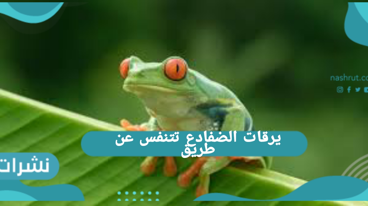 يرقات الضفادع تتنفس عن طريق