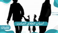 أسباب الطلاق الصامت