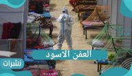 العفن الأسود.. وباء يهدد الحياة وما هي أهم أعراضه