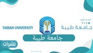 تخصصات جامعة طيبة والنسب المطلوبة للقبول