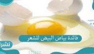 فائدة بياض البيض للشعر للحصول على شعر صحي ناعم وطويل