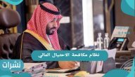 نظام مكافحة الاحتيال المالي