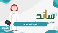 كم راتب ساند 1442 وكافة التفاصيل الخاصة بالبرنامج في المملكة العربية السعودية