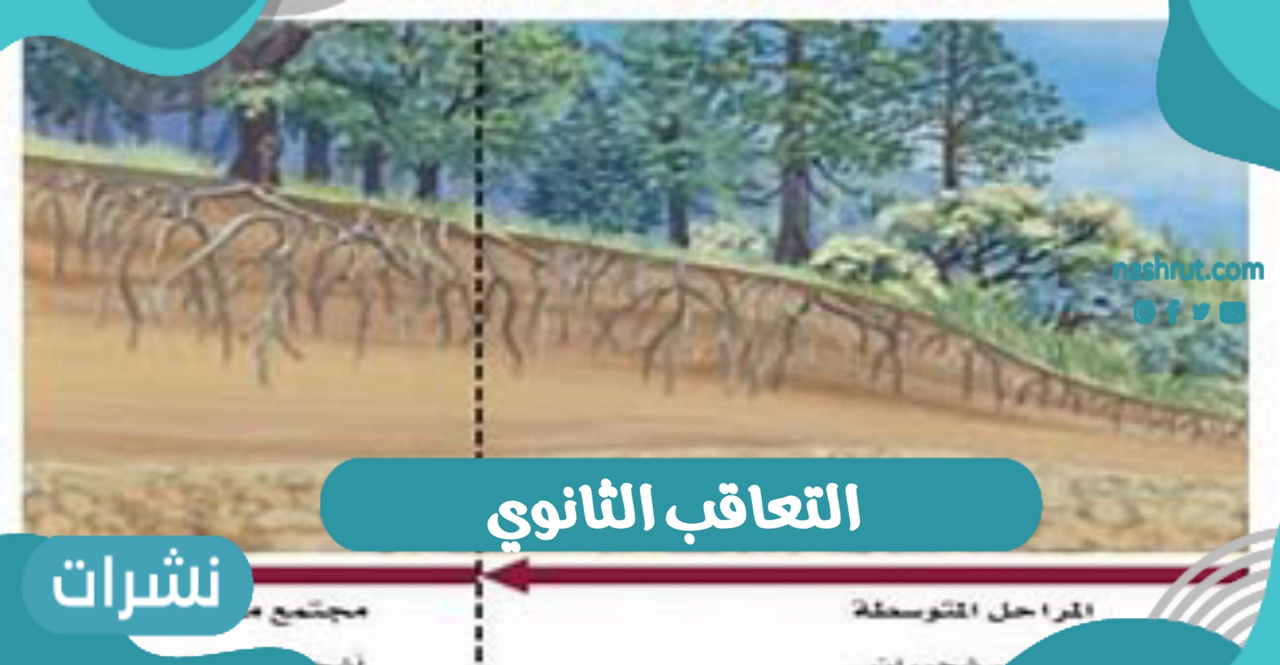التعاقب الثانوي كأحد أنواع التعاقب البيئي