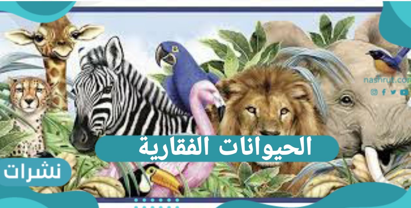 الحيوانات الفقارية.. والحيوانات اللافقارية