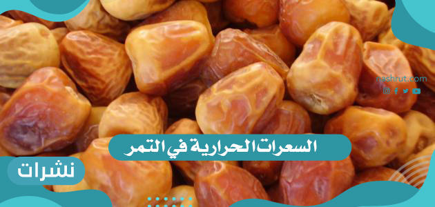 السعرات الحرارية في التمر | الفرق بين البلح والتمر ونوع السكر فيهما