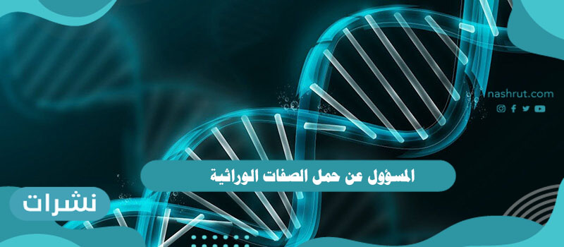 المسؤول عن حمل الصفات الوراثية وتاريخ علم الوراثة عند البشر