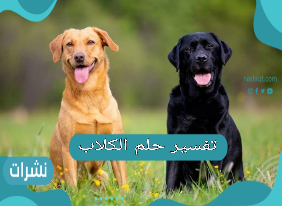 تفسير حلم الكلاب في المنام  بحسب حالة الرائي
