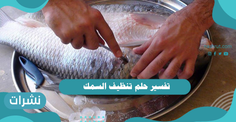 تفسير حلم تنظيف السمك لابن سيرين وابن شاهين والعزباء والمتزوجة