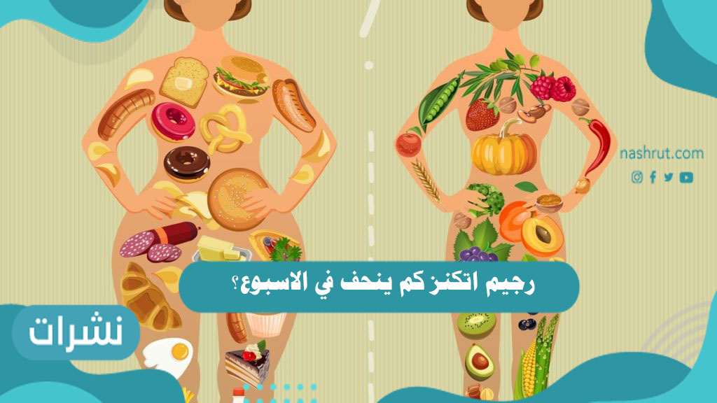 رجيم اتكنز كم ينحف في الاسبوع؟ وفوائد وأضرار رجيم اتكنز