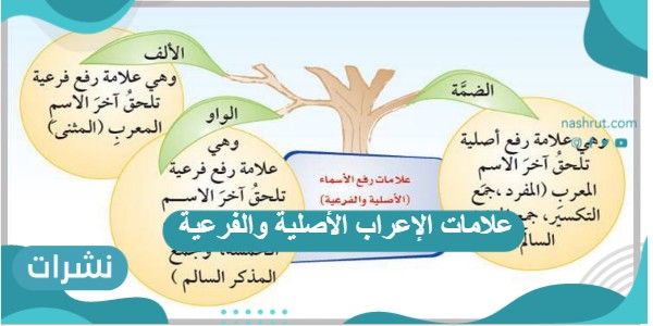علامات الإعراب الأصلية والفرعية