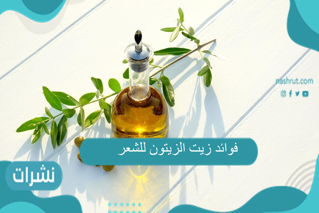 فوائد زيت الزيتون للشعر وطريقة استخدامه وأضراره المحتملة