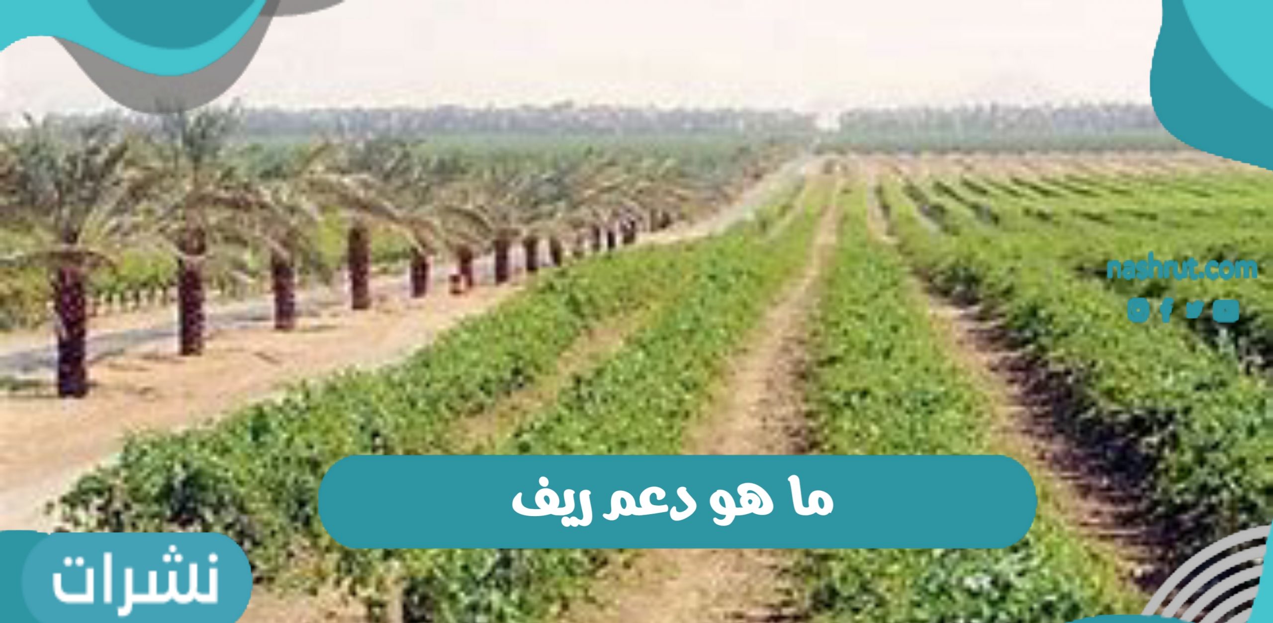 ما هو دعم ريف 1443 شروط استحقاق البرنامج وكيفية الاشتراك