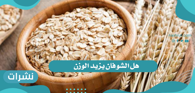 هل الشوفان يزيد الوزن