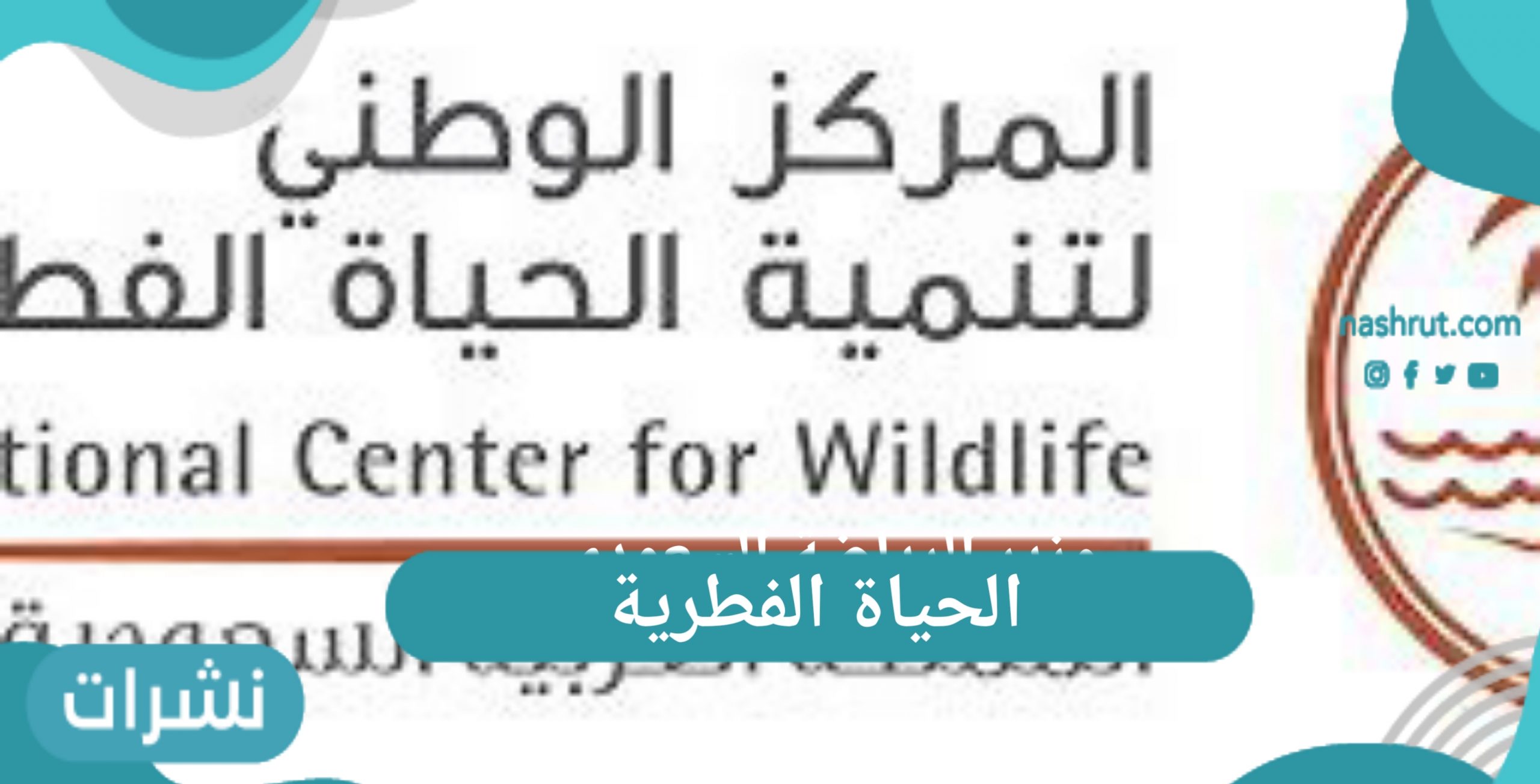 الحياة الفطرية