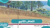 التعاقب الثانوي كأحد أنواع التعاقب البيئي