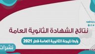 رابط نتيجة الثانوية العامة قطر 2021 برقم الجلوس عبر بوابة خدمات الجمهور