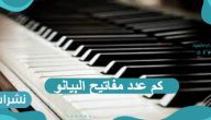 كم عدد مفاتيح البيانو وما هي أنواعه وكم يبلغ وزنه ؟